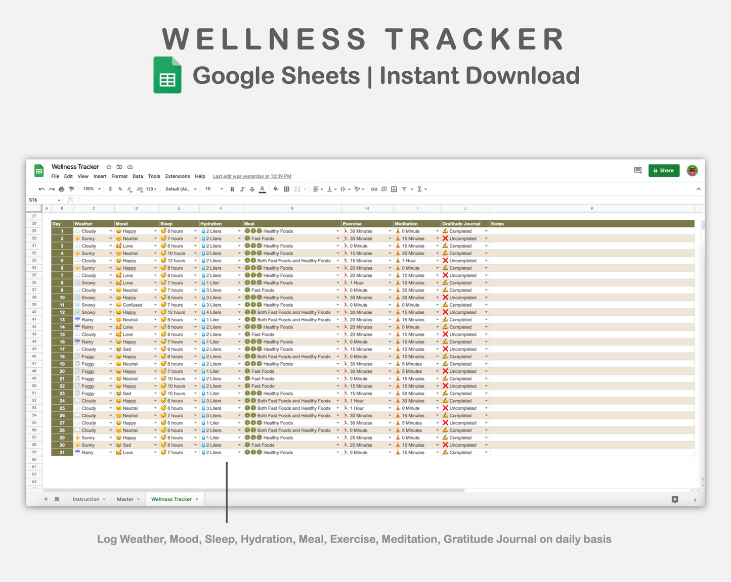 Google Sheets - Wellness Tracker  - Boho