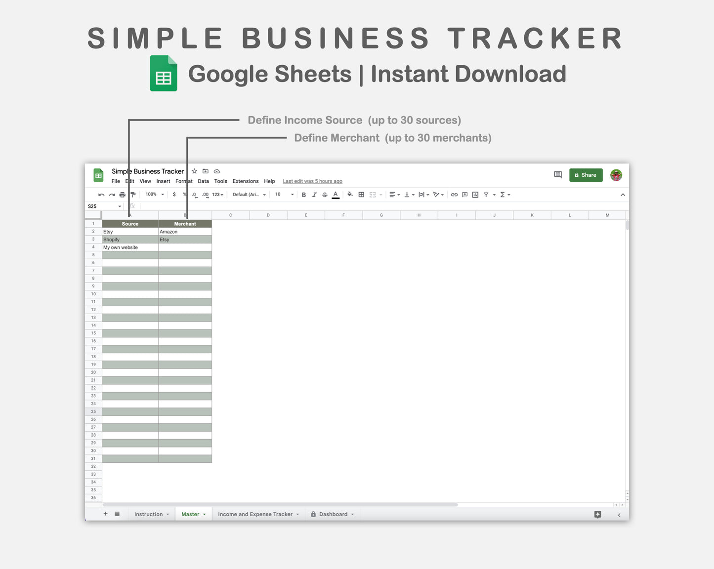 Google Sheets - Simple Business Tracker  - Earthy
