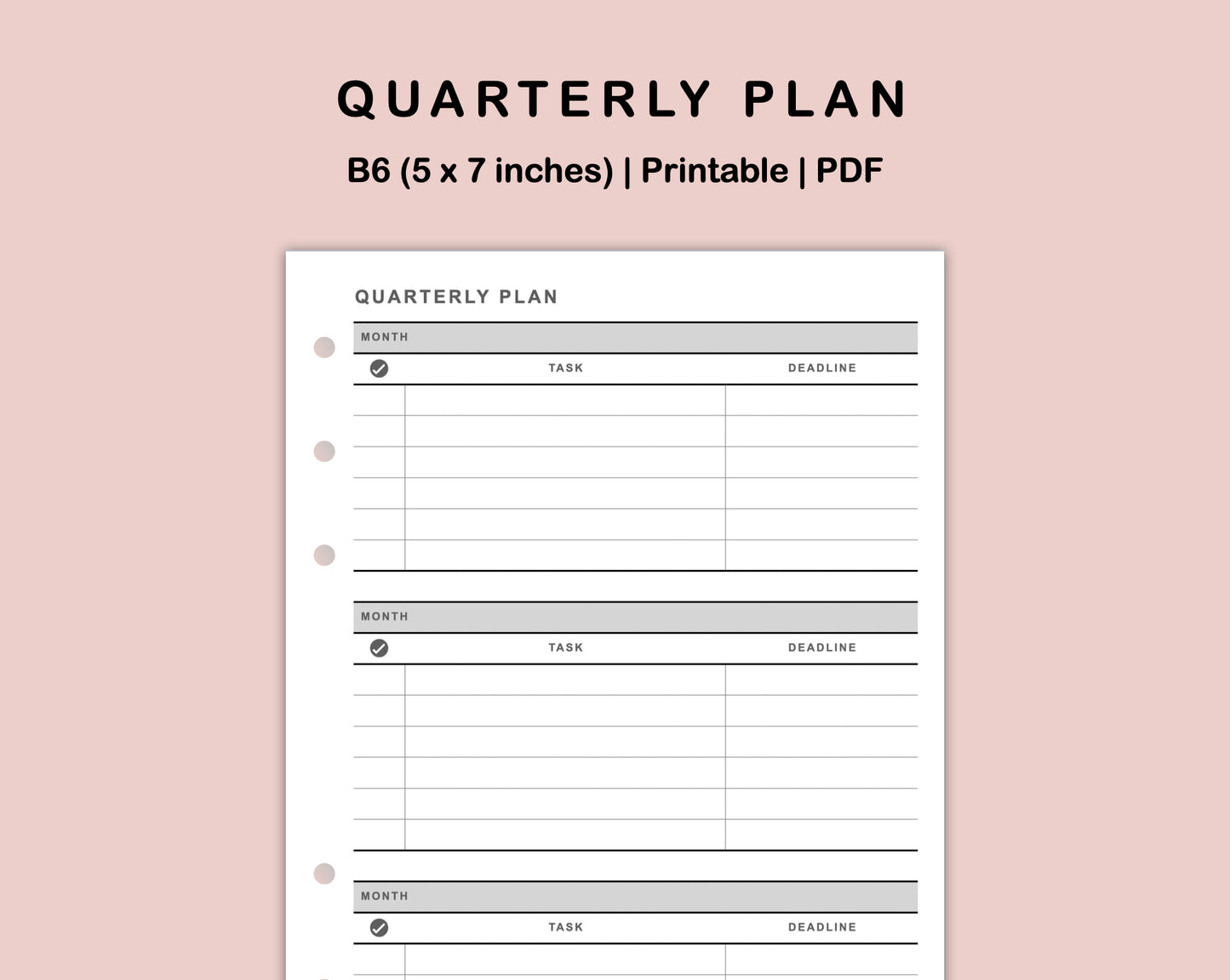 B6 Inserts - Quarterly Plan
