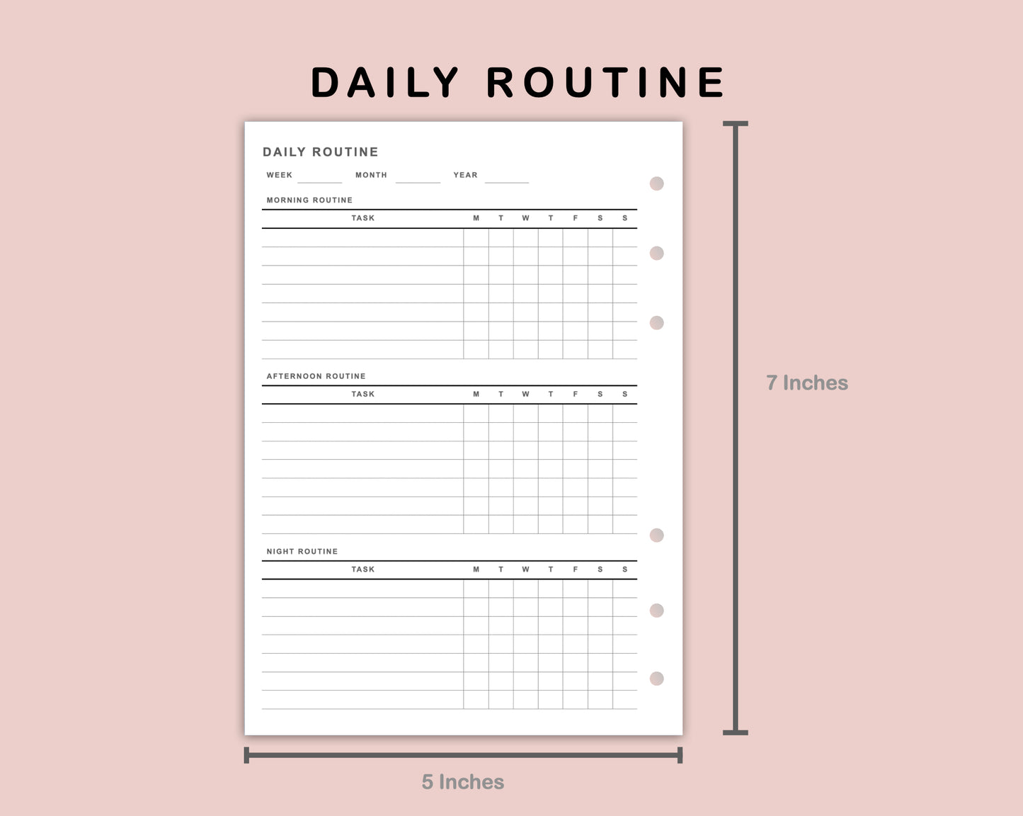 B6 Inserts - Daily Routine