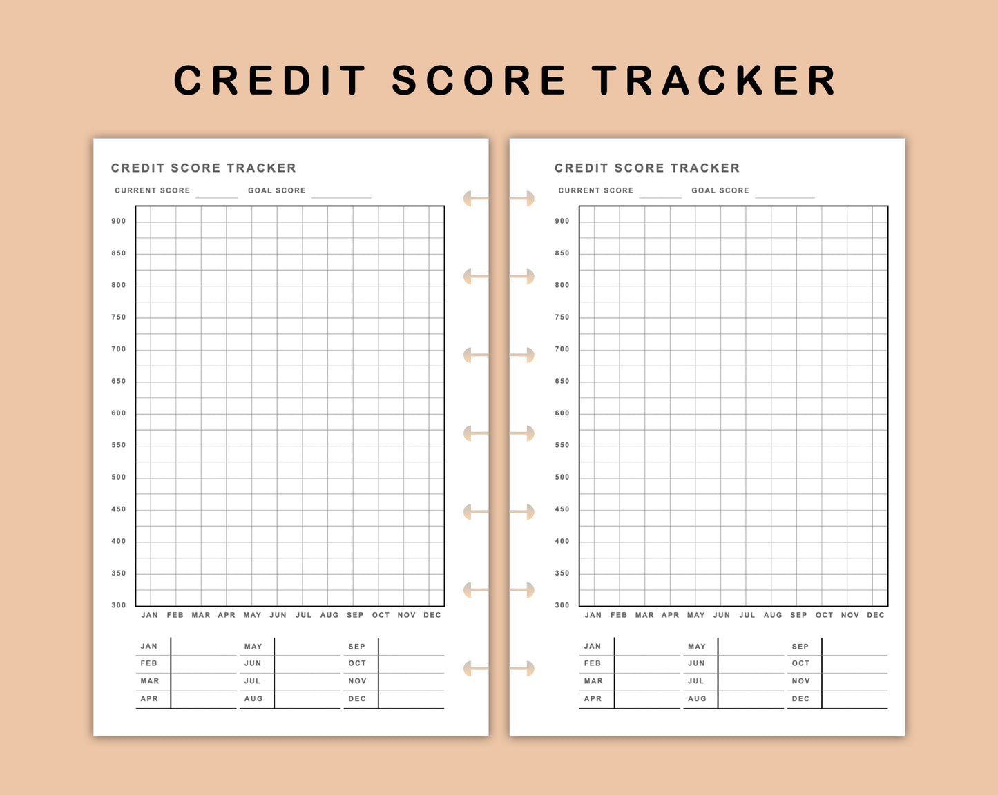 Mini Happy Planner Inserts - Credit Score Tracker