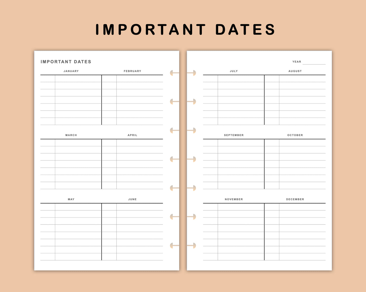 Mini Happy Planner Inserts - Importanat Dates