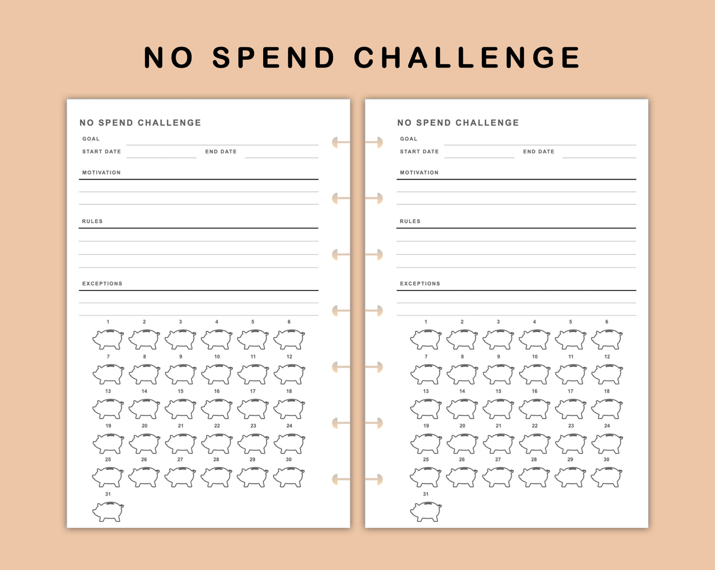 Mini Happy Planner Inserts - No Spend Challenge