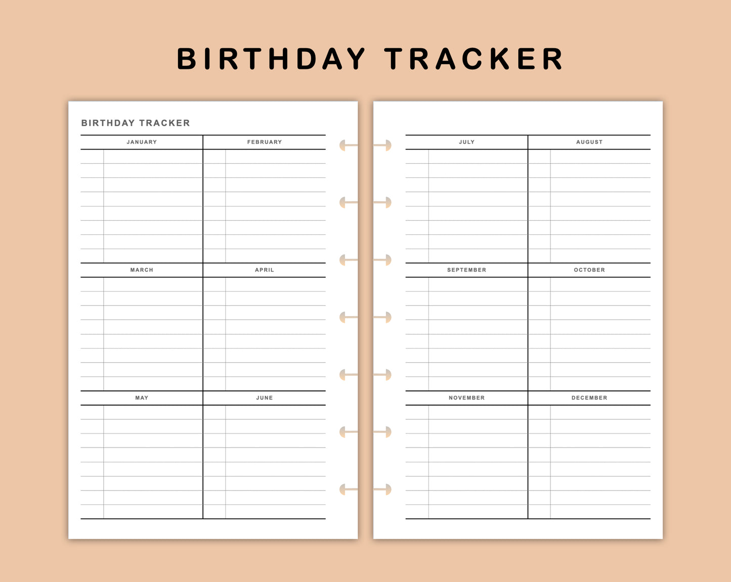 Mini Happy Planner Inserts - Birthday Tracker