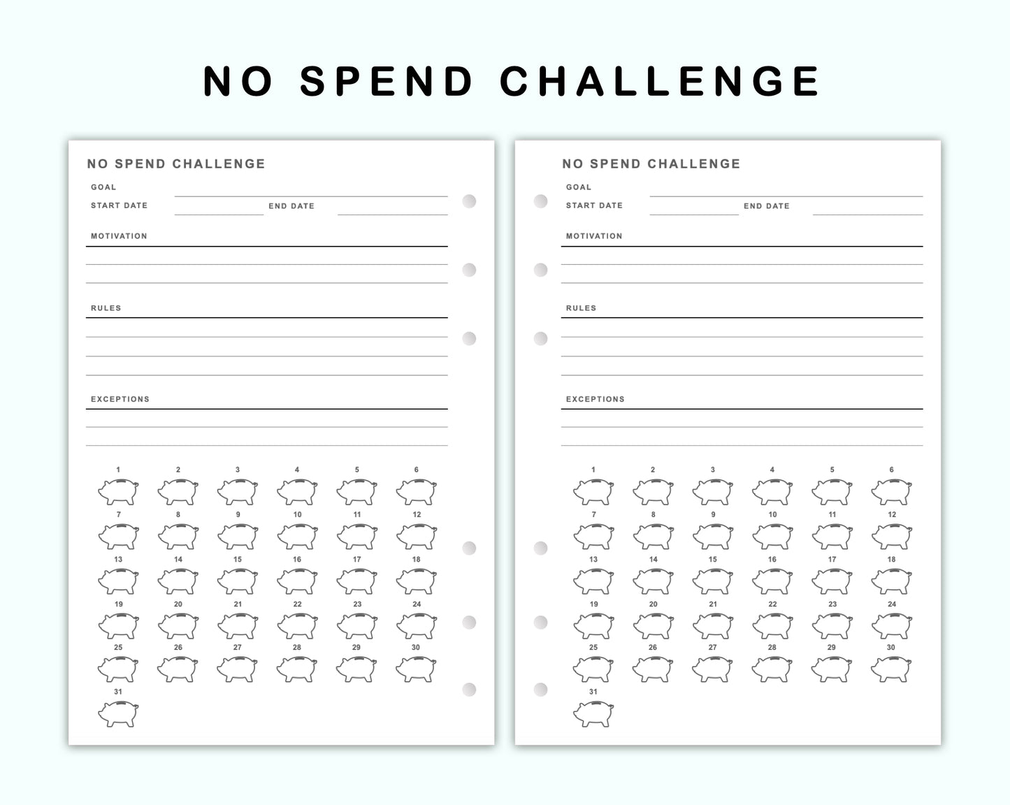 Personal Wide Inserts - No Spend Challenge