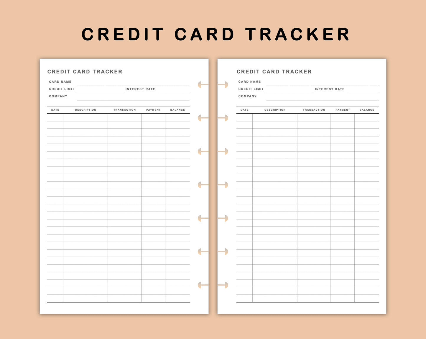 Mini Happy Planner Inserts - Credit Card Tracker