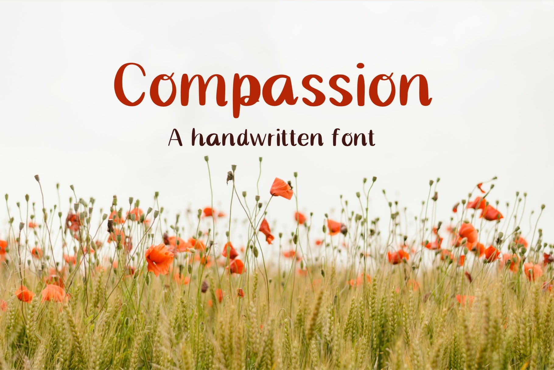 Handwritten Font - Compassion – kjunstudio