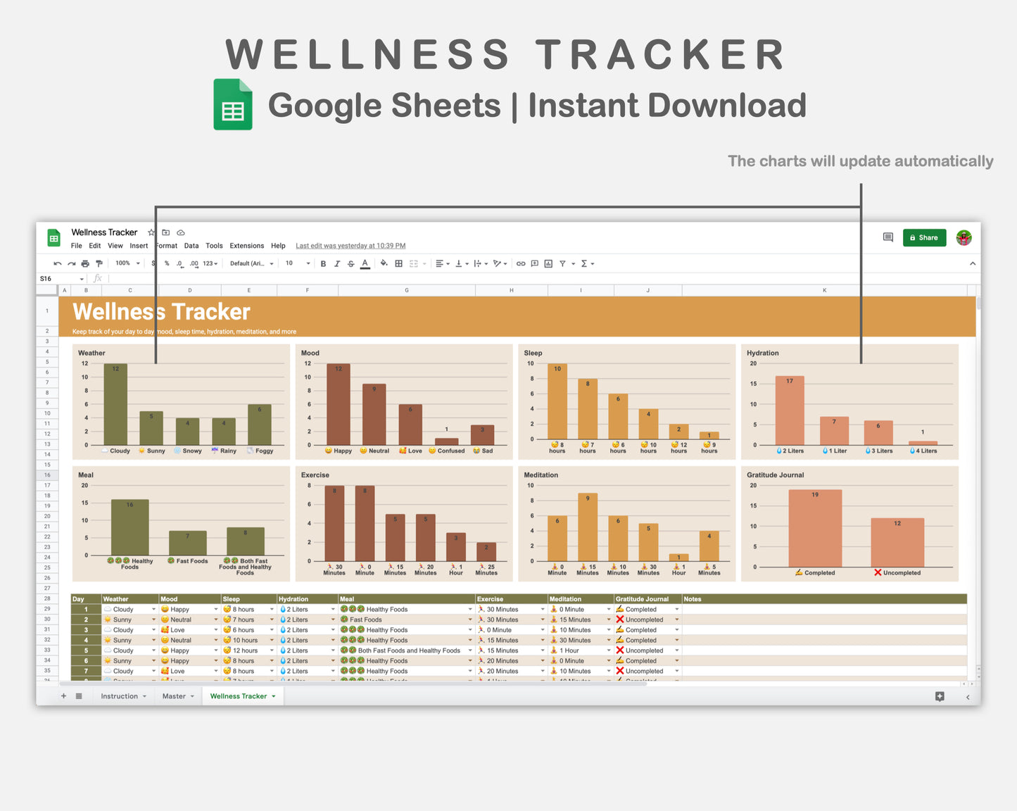 Google Sheets - Wellness Tracker  - Boho