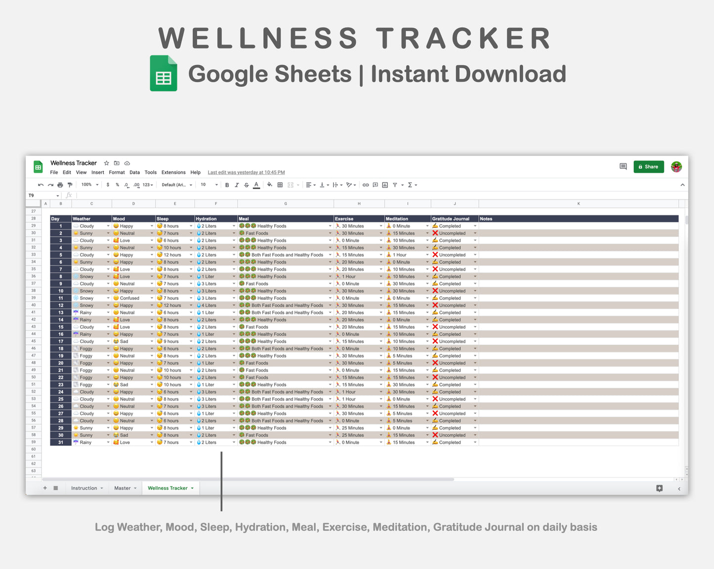 Google Sheets - Wellness Tracker  - Sweet
