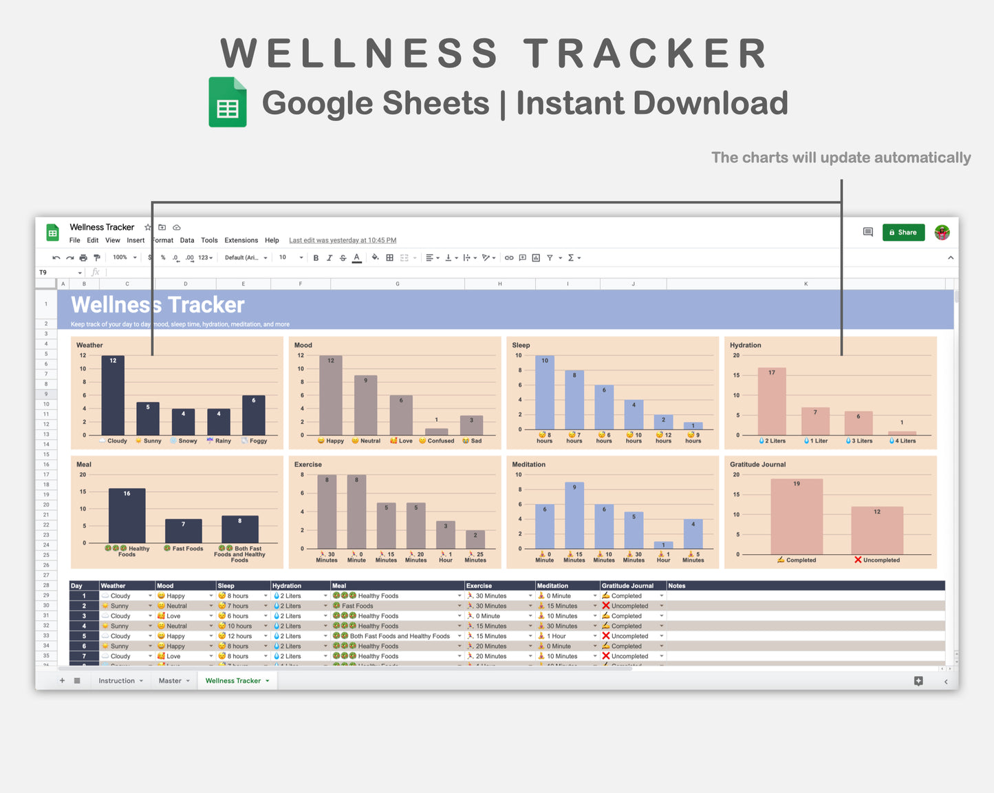 Google Sheets - Wellness Tracker  - Sweet
