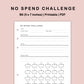 B6 Inserts - No Spend Challenge