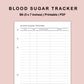 B6 Inserts - Blood Sugar Tracker