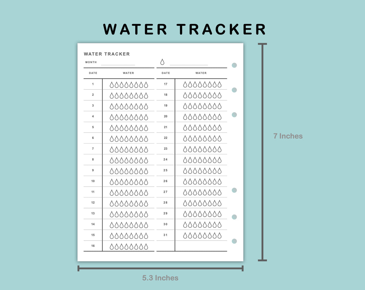 Watertrace Insert B6 Wide Inserts - Water Tracker – kjunstudio