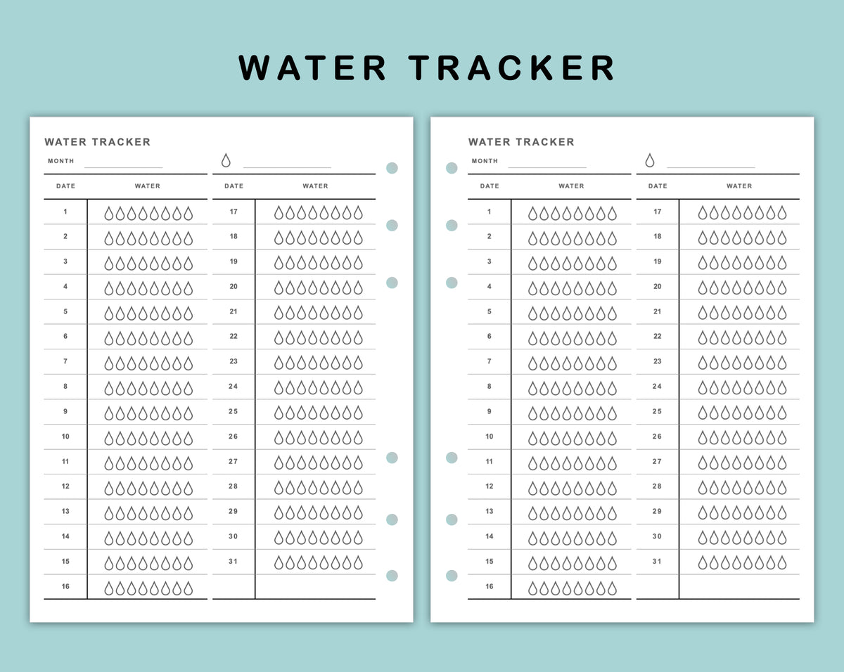 Watertrace Insert B6 Wide Inserts - Water Tracker – kjunstudio