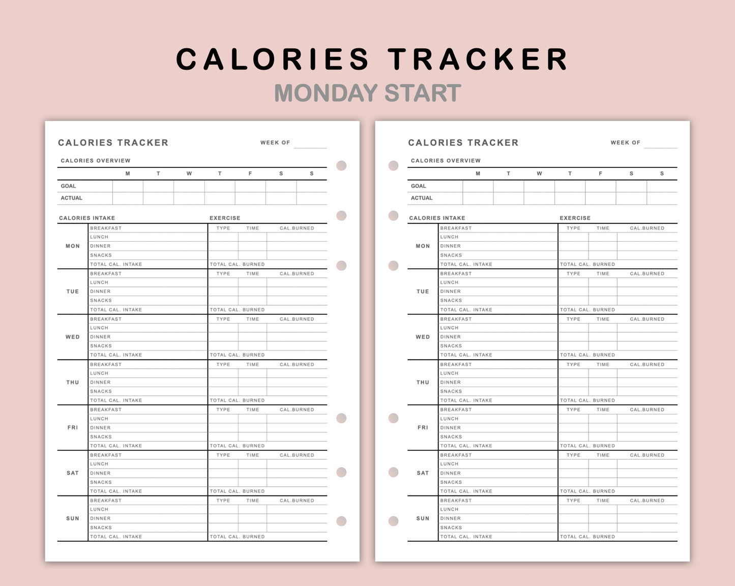 B6 Inserts - Calories Tracker